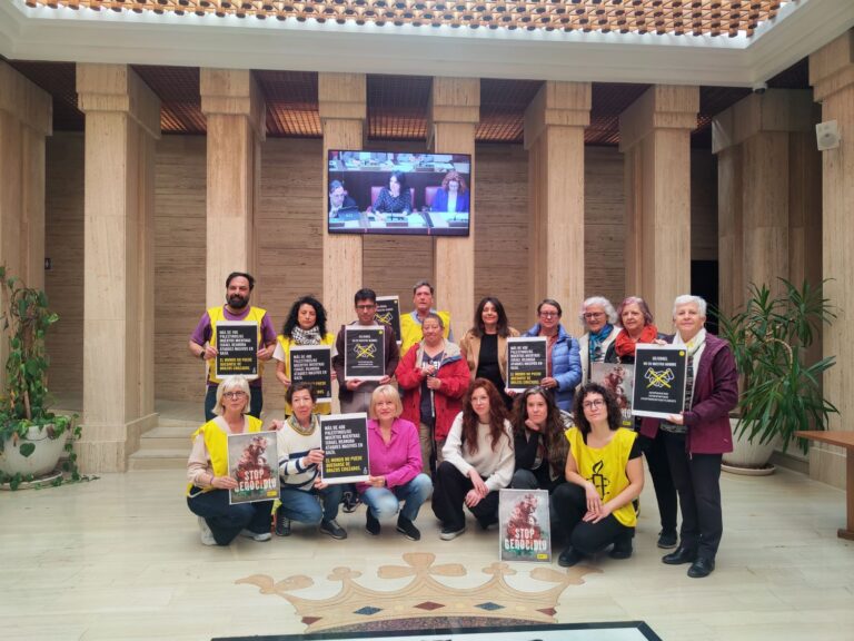 El pleno del Ayuntamiento de Albacete aprueba una moción conjunta por Palestina