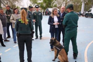 Más de 500 agentes garantizarán la seguridad del Viña Rock en Villarrobledo