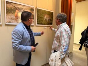 Animalibus: La Fauna de Épocas Pasadas Llega al Museo de Albacete con Piezas Sorprendentes