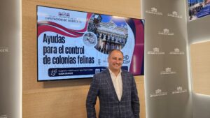 Convocatoria de Ayudas 2025 de la Diputación de Albacete: 150.000 euros para el control de colonias felinas en la provincia