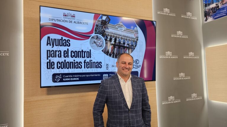 Convocatoria de Ayudas 2025 de la Diputación de Albacete: 150.000 euros para el control de colonias felinas en la provincia
