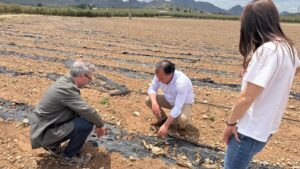 David Moreno (Vox) reclama ayudas urgentes para los agricultores afectados por el granizo y la plaga de conejos