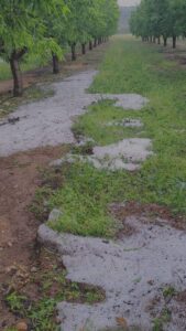 Hellín solicita ayudas urgentes tras la «devastadora» tormenta del 10 de mayo a Junta, Diputación y Subdelegación