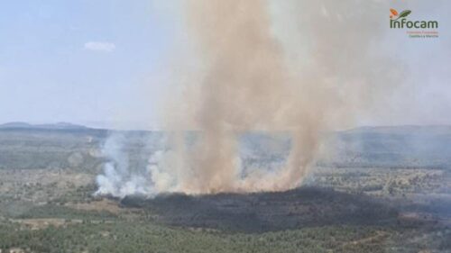Activos dos incendios forestales en Chinchilla de Montearagón y Pozuelo de Calatrava