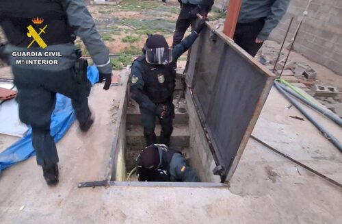 Desmantelados tres centros de producción de cannabis sativa con 800 plantas en El Salobral