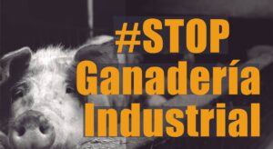 Ecologistas acusan a la Junta de acallar las protestas contra macrogranjas y discrepan de los datos de Desarrollo Sostenible