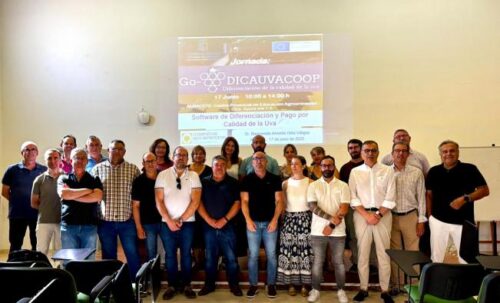 El delegado provincial de Agricultura destaca la importancia de la calidad y diferenciación de la uva en las jornadas de Dicauvacoop