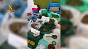La Guardia Civil detiene a un grupo criminal dedicado al cultivo y tráfico de drogas