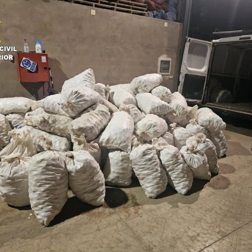 Detenido e investigado por cuatro delitos de hurto de ajos y uno de receptación en Las Pedroñeras