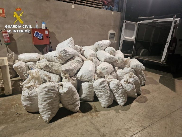 Detenido e investigado por cuatro delitos de hurto de ajos y uno de receptación en Las Pedroñeras