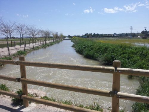 Estudios Confirman Que No Hay Larvas De Mosquitos En Puntos Principales Del Canal María Cristina De Albacete