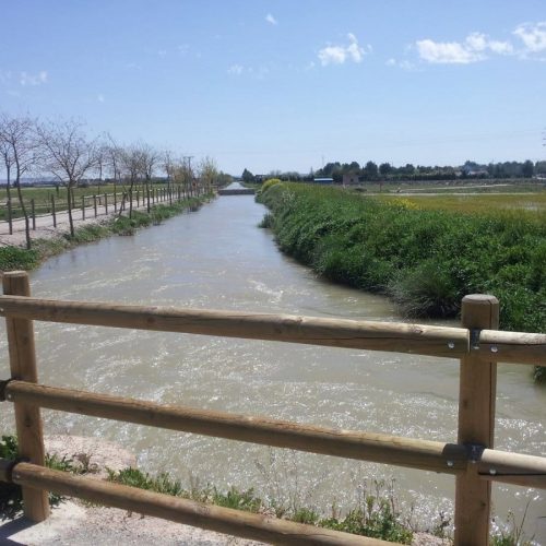 Estudios Confirman Que No Hay Larvas De Mosquitos En Puntos Principales Del Canal María Cristina De Albacete