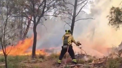 Bomberos de GEACAM Denuncian Condiciones de Trabajo en Extinción de Incendios