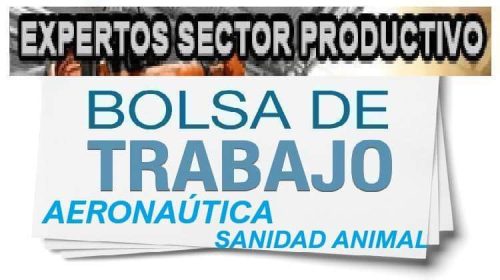 Convocatoria de Bolsas para Profesorado Experto en Aeronáutica y Sanidad Animal en el IES Aguas Nuevas de Albacete