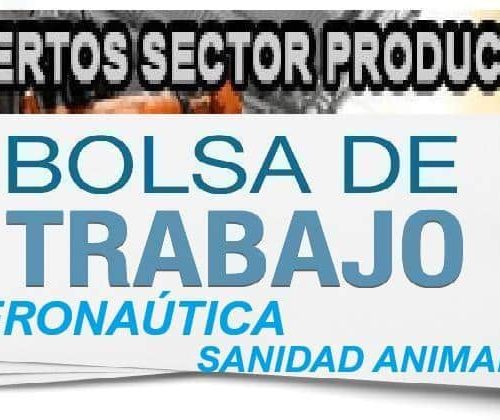 Convocatoria de Bolsas para Profesorado Experto en Aeronáutica y Sanidad Animal en el IES Aguas Nuevas de Albacete