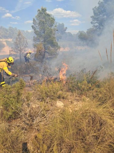 Extinguido el incendio forestal en Almansa y controlado el de Loranca de Tajuña
