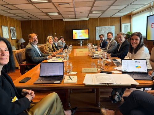 Castilla-La Mancha satisfecha por la inclusión de 14 subestaciones nuevas en la planificación eléctrica nacional 2030