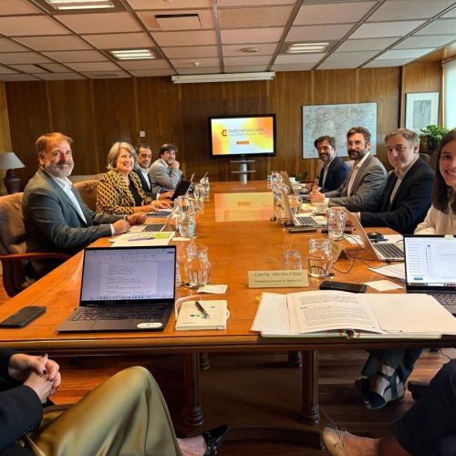 Castilla-La Mancha satisfecha por la inclusión de 14 subestaciones nuevas en la planificación eléctrica nacional 2030