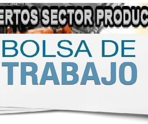 Convocatoria de Becas para Profesores Expertos en Aeronáutica y Sanidad Animal en IES Aguas Nuevas, Albacete