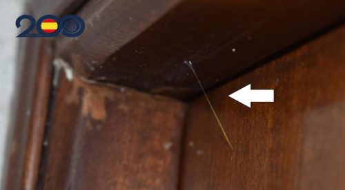 Desmantelado un entramado criminal que robó en viviendas de Albacete con la técnica del hilo invisible