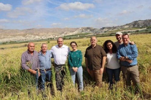 El Coto Arrocero de Las Minas, el mejor valorado de España por su calidad, según el Gobierno regional