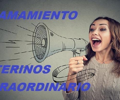 Nuevas Oportunidades Docentes en el Conservatorio Superior de Música de Albacete: Llamamiento Público Telemático 2020