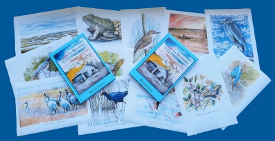 Carlos Villanueva Desvela los Secretos del Parque Nacional de las Tablas de Daimiel en su Nueva Obra «Desde La Quebrada» Presentada por la BAM