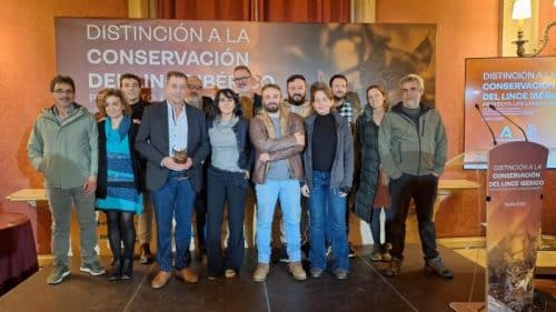 El papel crucial de los propietarios en la recuperación del lince ibérico en Castilla-La Mancha