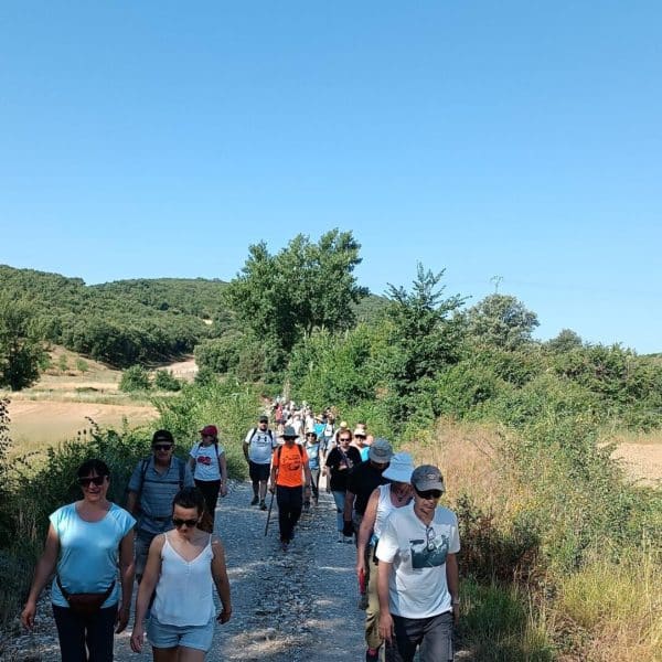 Más de un centenar de personas participaron en las II Jornadas sobre la Guerra Civil organizadas por la Sociedad de Amigos de Cogolludo