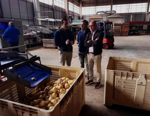 Ayudas regionales FOCAL impulsan industria agroalimentaria de ‘Hermanos Aparici Rosa’ con valor añadido