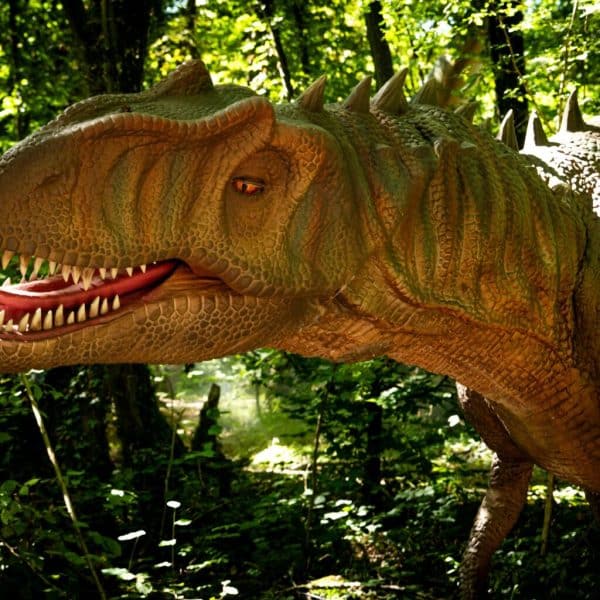 El Bosque Encantado abre DINOLANDIA MADRID el 28 de marzo: una experiencia entre dinosaurios para familias