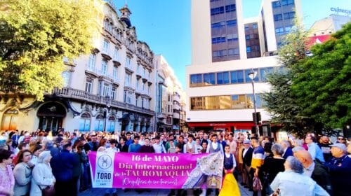 2025, El año en que la Tauromaquia se miró al espejo