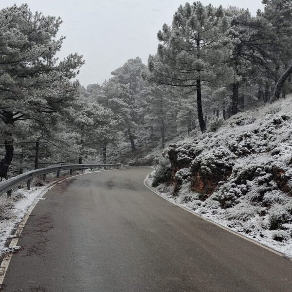 Fran Valera confirma la buena transitabilidad en la red de carreteras provinciales mantenida por un dispositivo especial del Plan de Vialidad Invernal de la Diputación