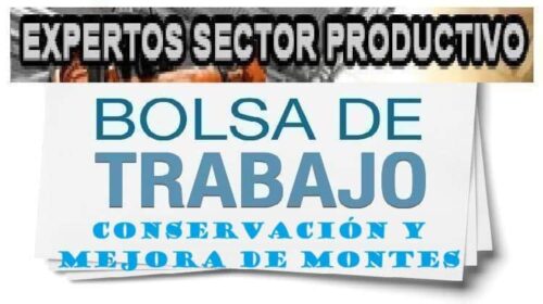 Convocatoria para la Selección de Profesionales Expertos en Actividades Auxiliares para la Conservación y Mejora de Montes