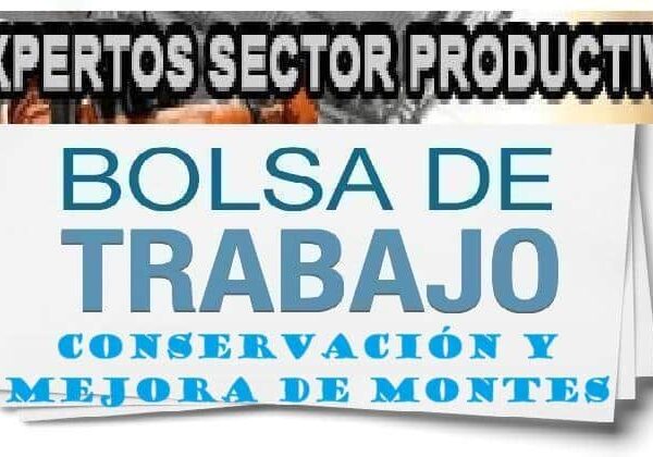 Convocatoria para la Selección de Profesionales Expertos en Actividades Auxiliares para la Conservación y Mejora de Montes