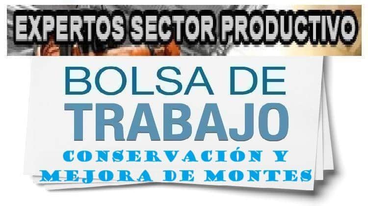 Convocatoria para la Selección de Profesionales Expertos en Actividades Auxiliares para la Conservación y Mejora de Montes