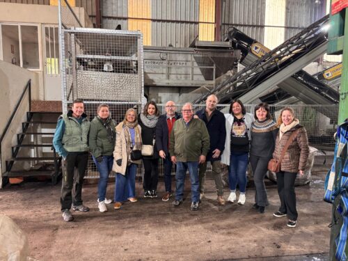 Crecimiento del 13% en la Campaña de la Aceituna: Se Esperan Alcanzar las 59.000 Toneladas Este Año