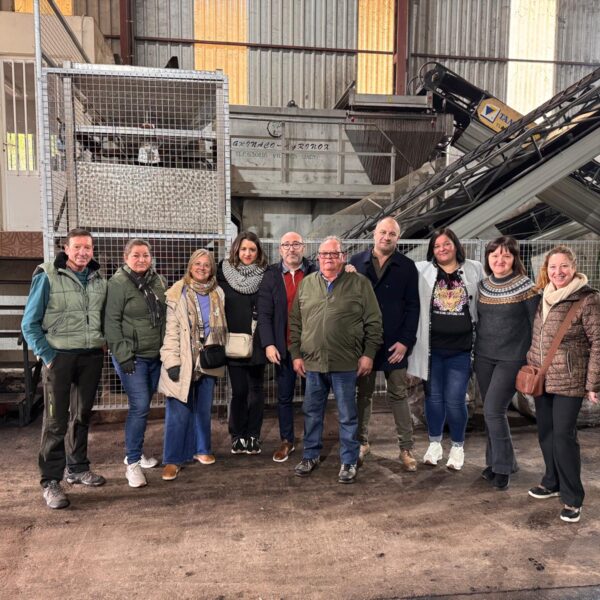 Crecimiento del 13% en la Campaña de la Aceituna: Se Esperan Alcanzar las 59.000 Toneladas Este Año