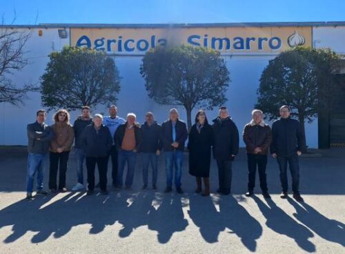 El gobierno regional potencia el cultivo del ajo con ayudas FOCAL para modernizar el sector agrícola