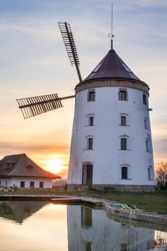 Castilla-La Mancha avanza en el plan regional contra resistencia de antibióticos