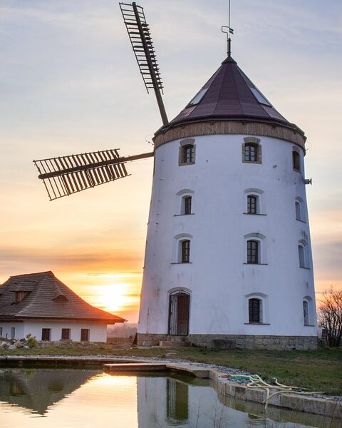Castilla-La Mancha avanza en el plan regional contra resistencia de antibióticos