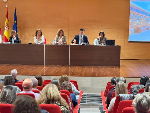 Evaluación de desafíos y líneas de trabajo en el Plenario de Servicios Sociales, Consejería en Acción social.