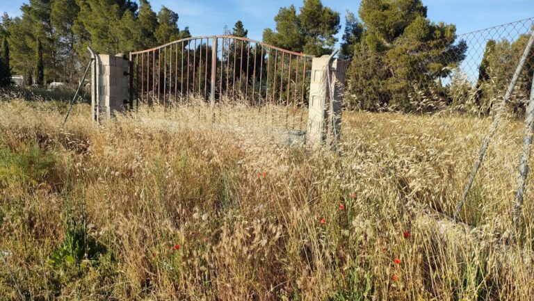 UCIN Albacete denuncia la falta de prevención ante el riesgo de incendios en parcelas abandonadas