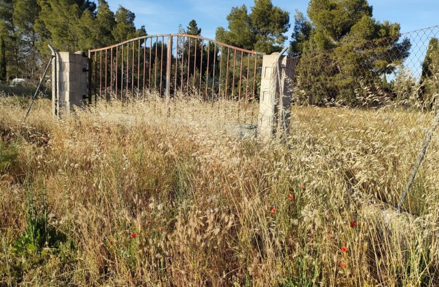 UCIN Albacete denuncia la falta de prevención ante el riesgo de incendios en parcelas abandonadas