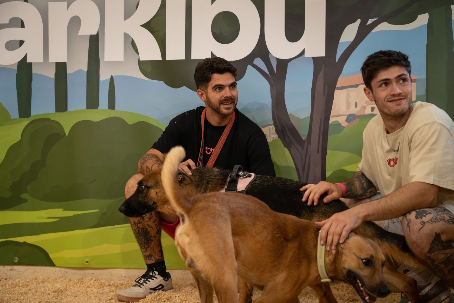 Castilla-La Mancha acogerá la II Feria de Adopciones con 32 protectoras y más de 100 perros en busca de una familia